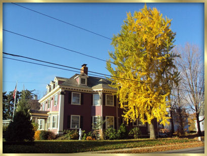 The Shaw House in the Autumn